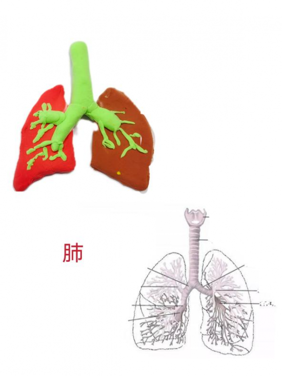 云圖片