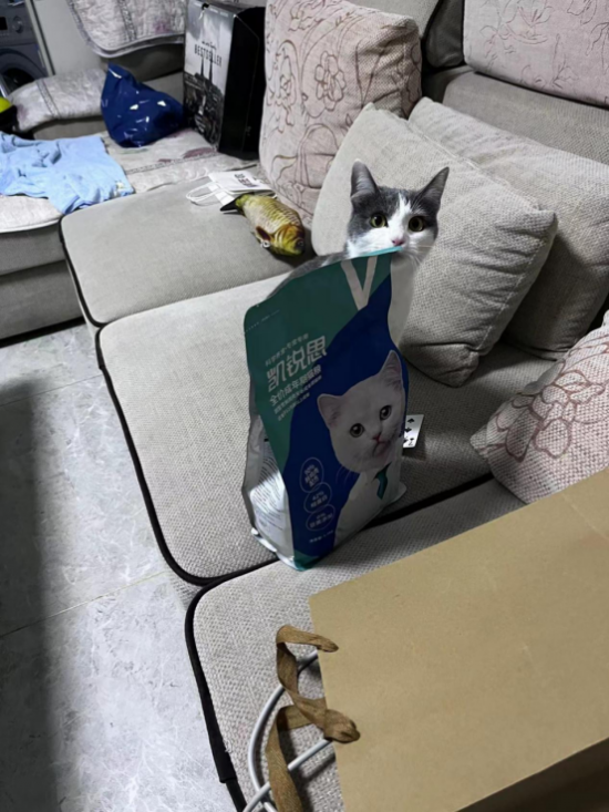 云圖片