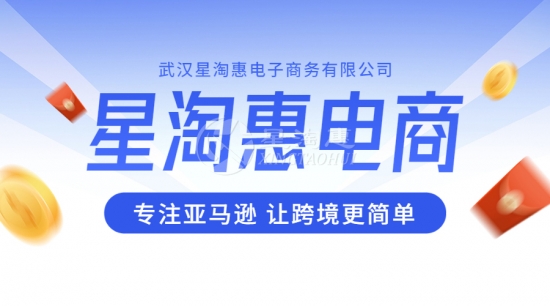 武汉星淘惠：服务至上，助力新手创业者成功进入电商市场