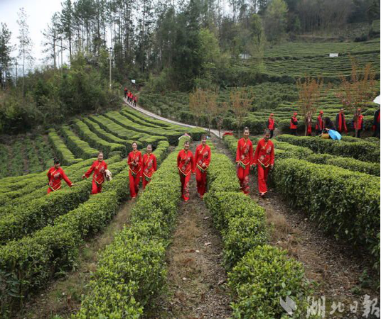巴东县沙岭村：茶旅融合奏响乡村振兴和美韵律