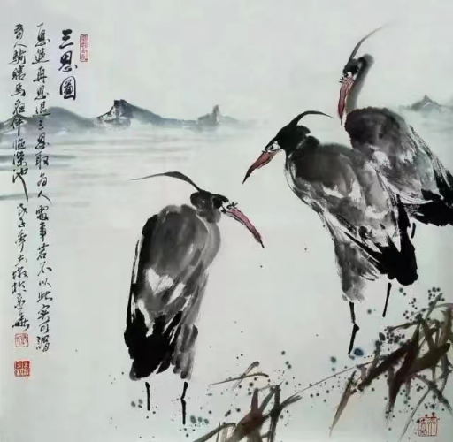 云图片