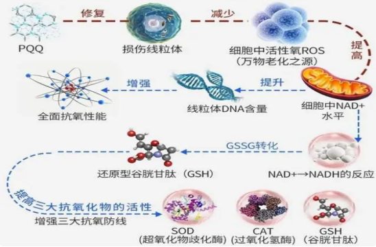 云图片