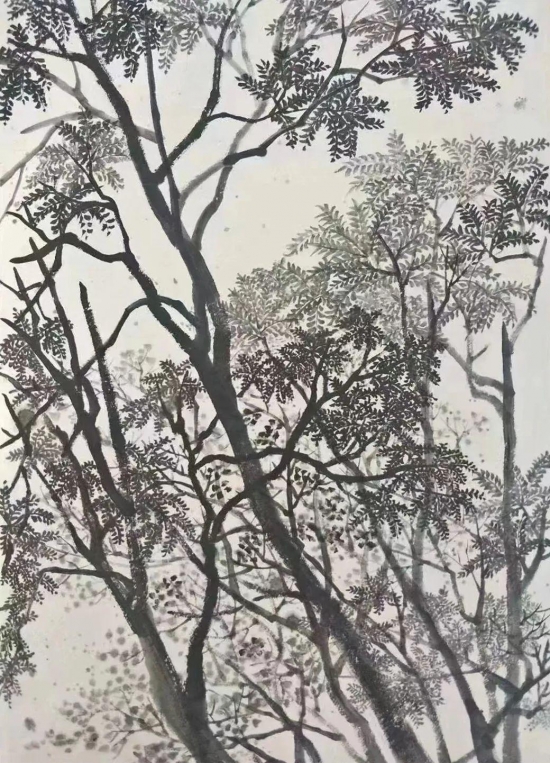 云图片