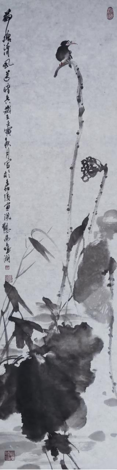 云图片