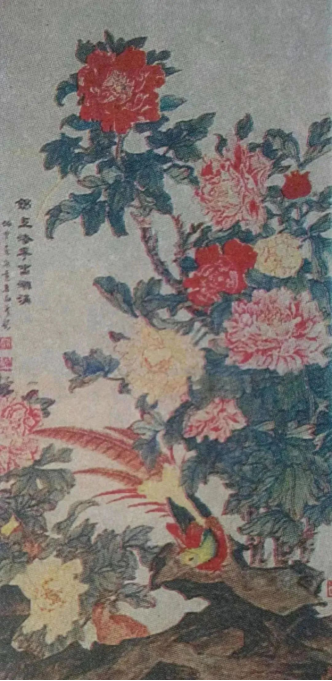 云图片