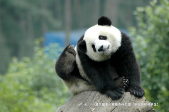 云图片