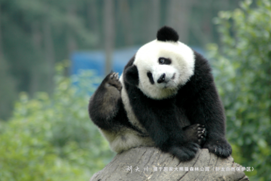 云图片