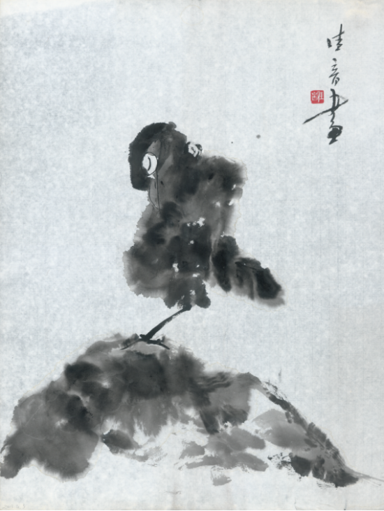 云图片