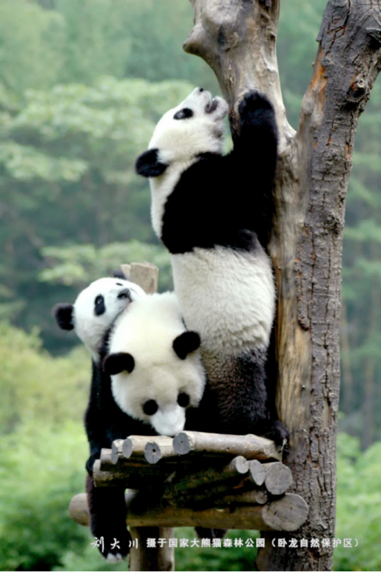 云图片