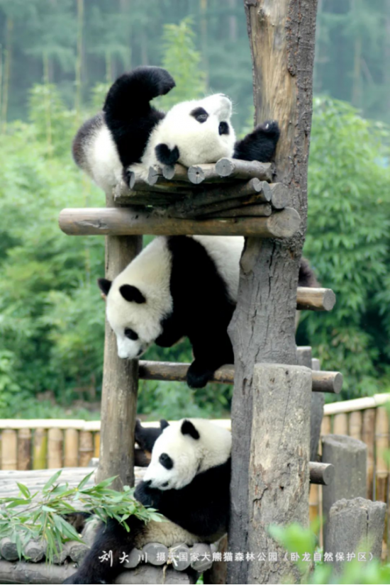 云图片