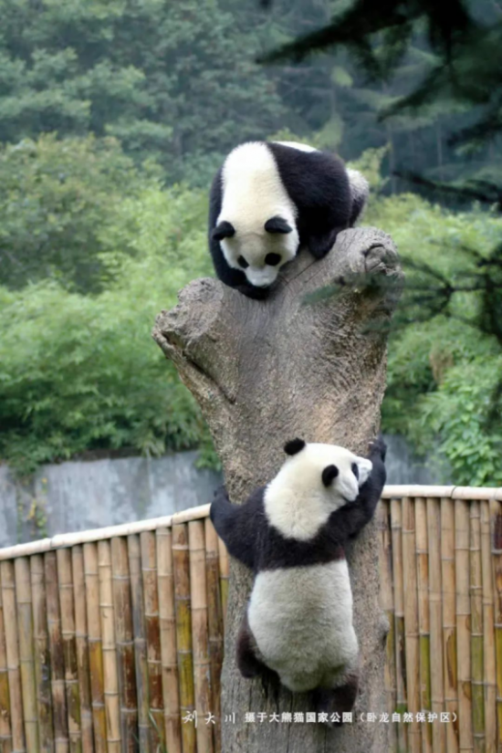 云图片