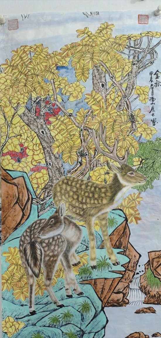 云图片
