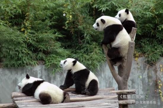 云图片