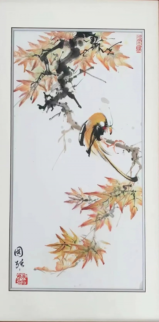 云图片