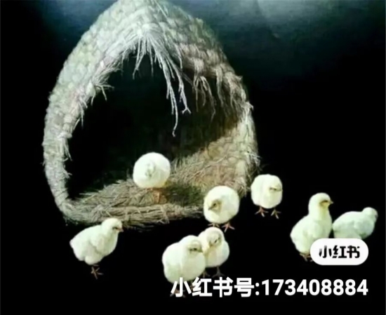 云图片