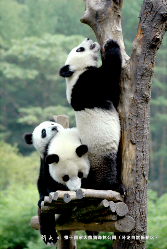 云图片