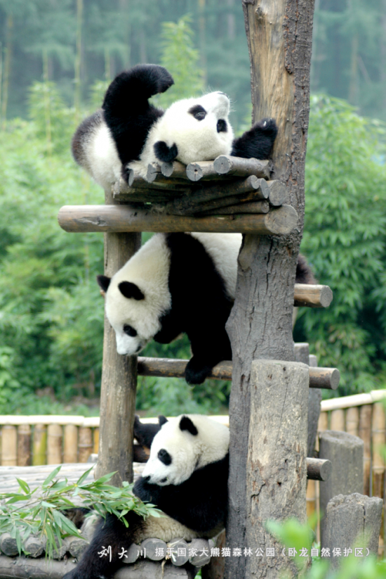 云图片