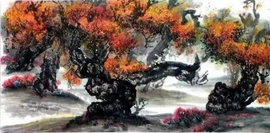 云图片
