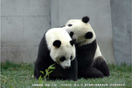 云图片