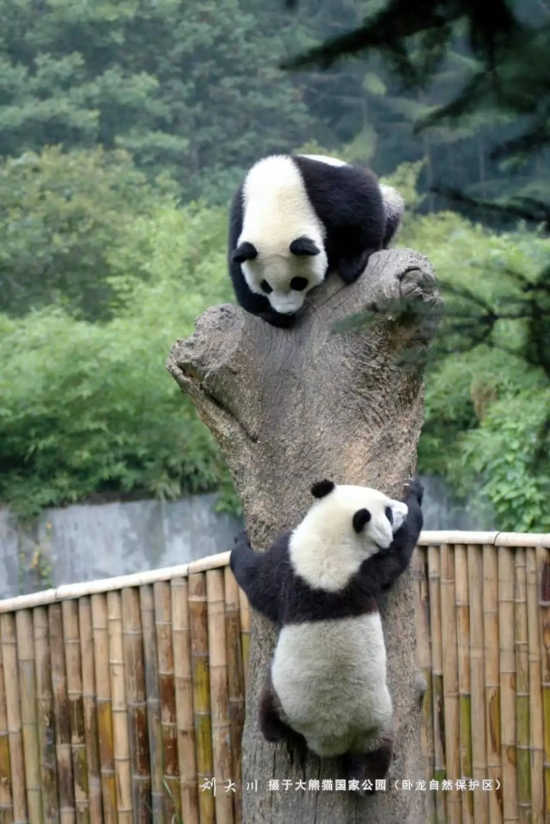 云图片
