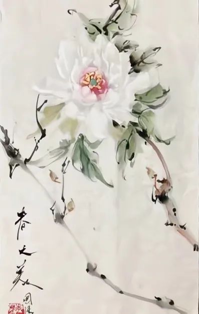 云图片