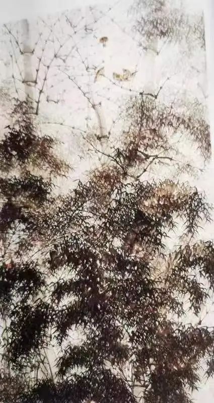 云图片