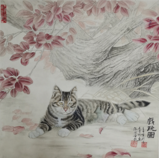 云图片