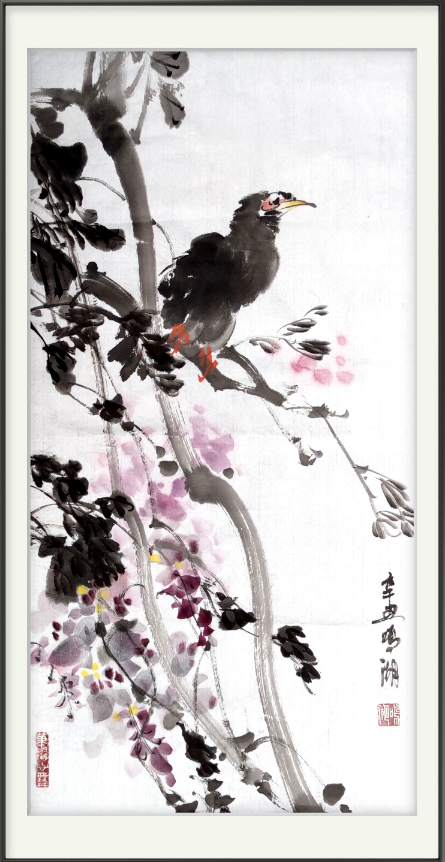 云图片