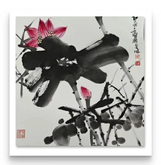 云图片