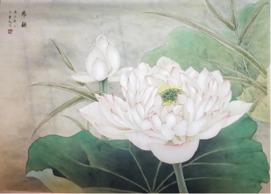 云图片