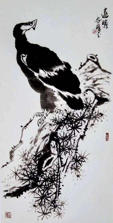 云图片