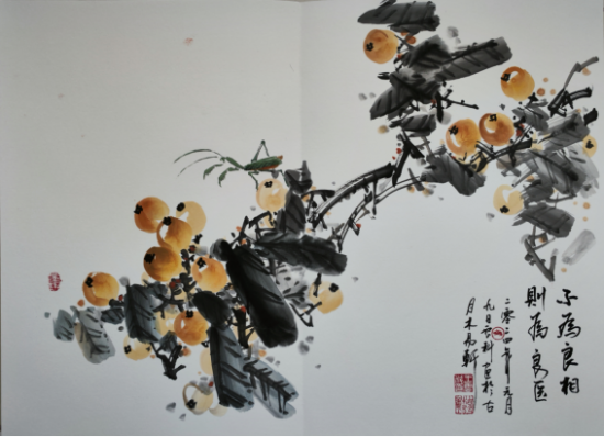 云图片