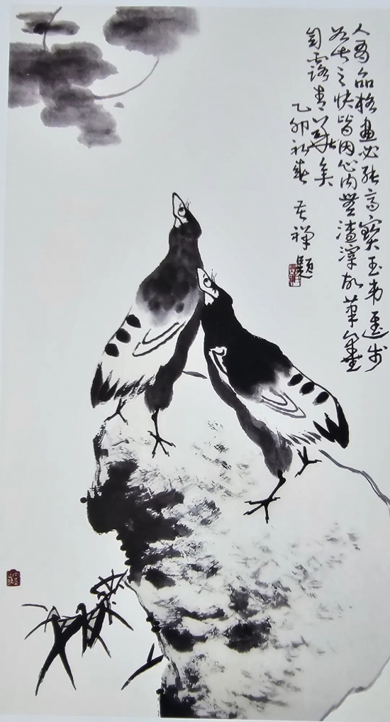 云图片