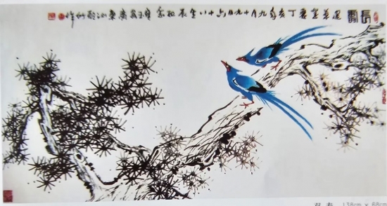 云图片