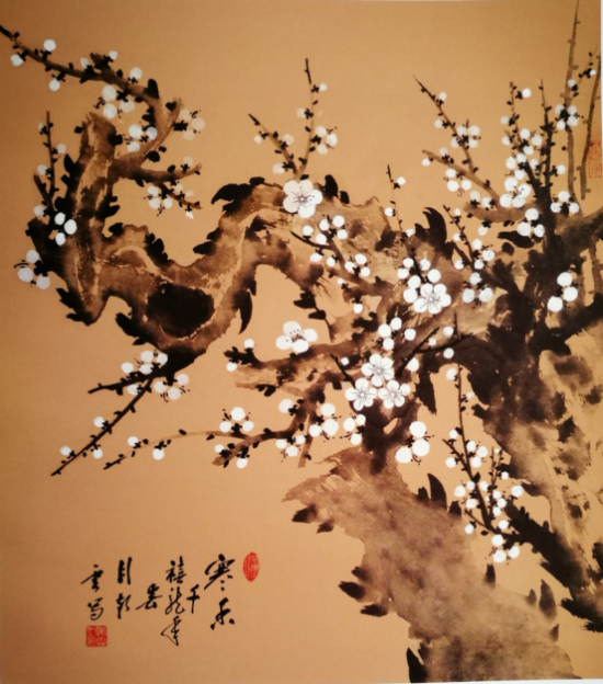 云图片