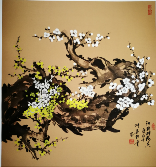 云图片