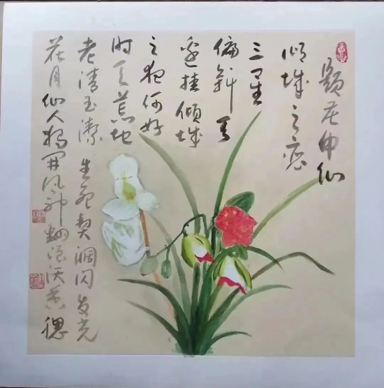 云图片