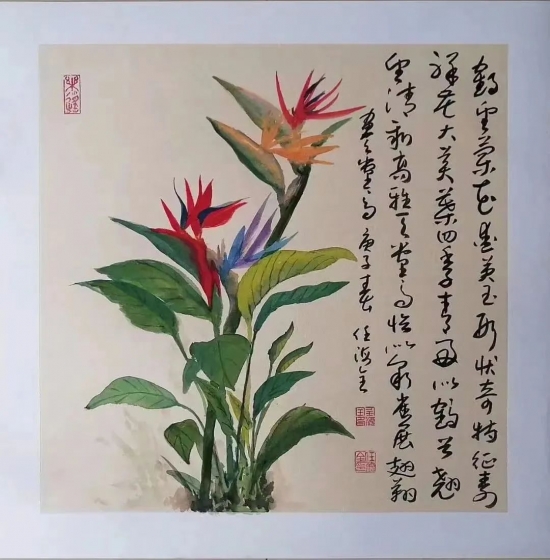 云图片