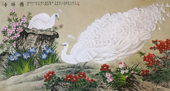 云图片