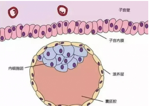 云图片