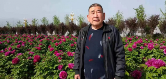 云图片