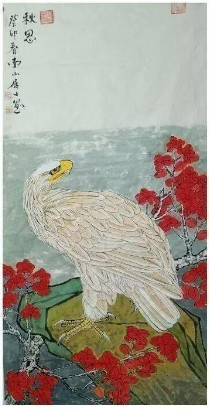 云图片