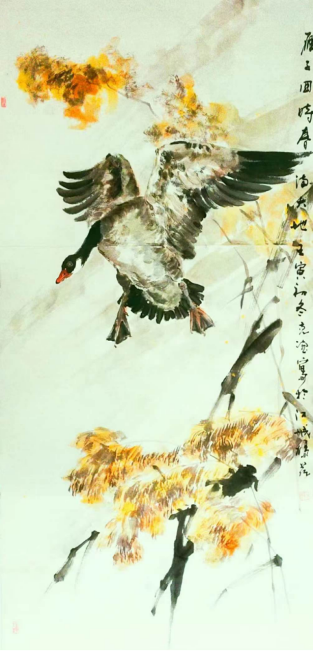 云图片