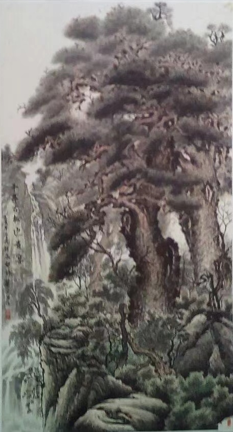 云图片