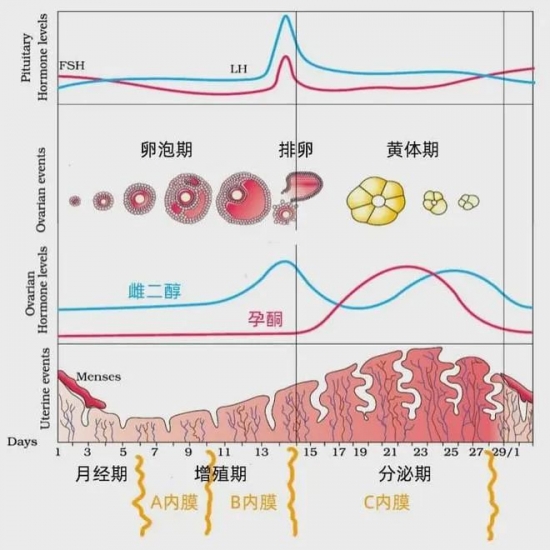 云图片