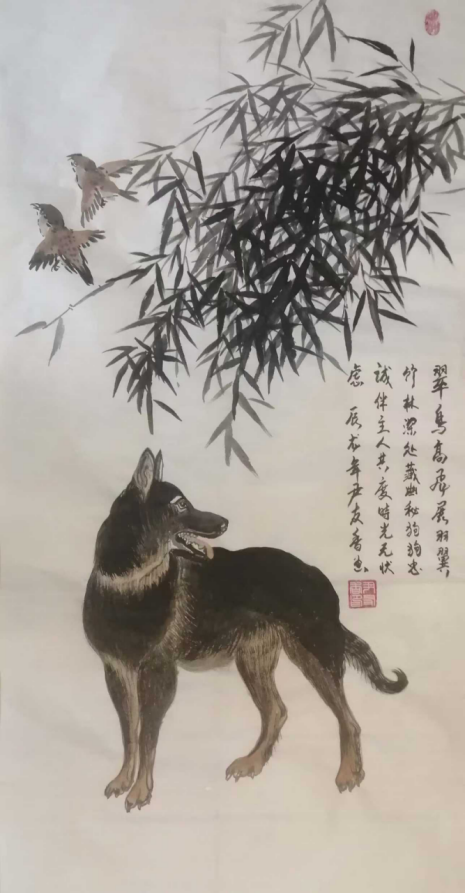 云图片