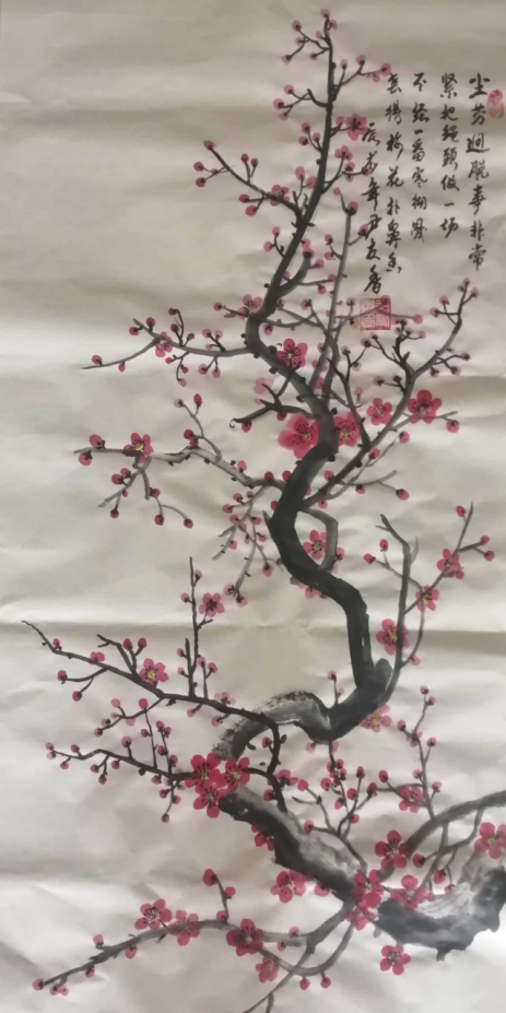 云图片