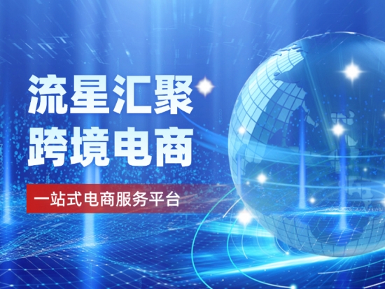 武汉流星汇聚：跨境电商的信赖之选，以五对一服务赢得业内外广泛赞誉