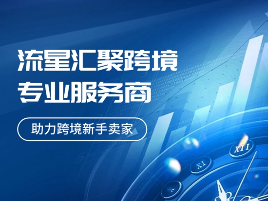 武汉流星汇聚：一站式服务携手企业跨越国界，打造跨境电商新标杆