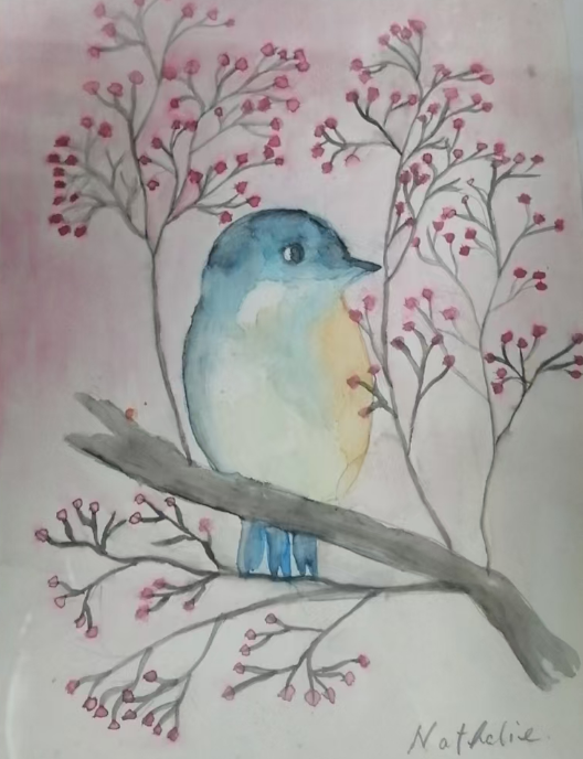 云图片